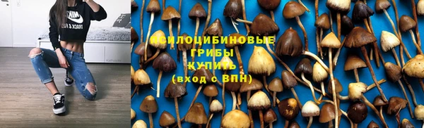 эйфоретик Алзамай