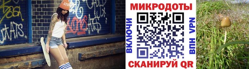 сколько стоит  Новодвинск  Галлюциногенные грибы GOLDEN TEACHER 